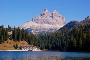 fotooboi priroda (114)