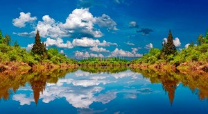 fotooboi priroda (120)