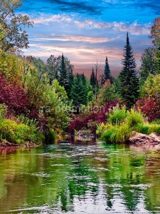 fotooboi priroda (122)