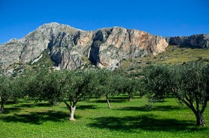 fotooboi priroda (123)