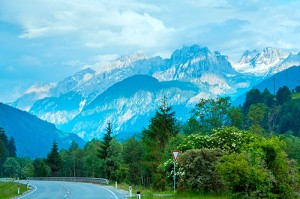 fotooboi priroda (124)