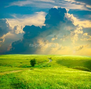 fotooboi priroda (125)