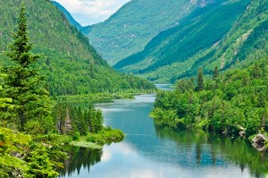 fotooboi priroda (129)