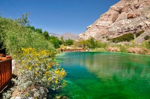 fotooboi priroda (132)