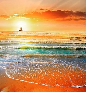 fotooboi priroda (137)