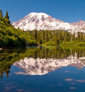 fotooboi priroda (138)