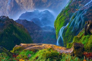 fotooboi priroda (139)