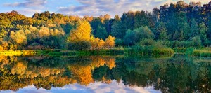 fotooboi priroda (140)