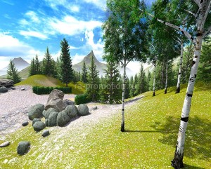 fotooboi priroda (145)