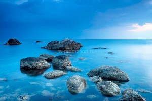 fotooboi priroda (146)