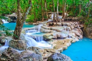 fotooboi priroda (147)