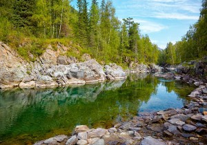 fotooboi priroda (154)