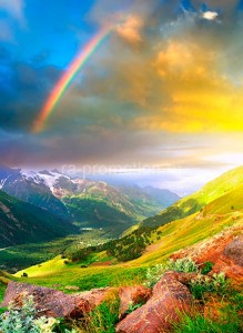 fotooboi priroda (156)