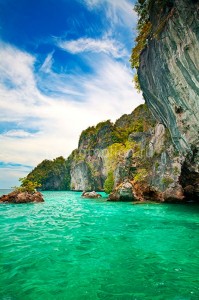 fotooboi priroda (158)