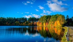 fotooboi priroda (163)