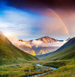 fotooboi priroda (165)