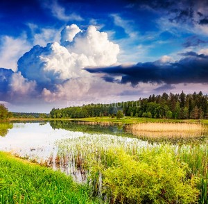 fotooboi priroda (166)