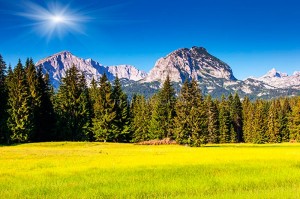 fotooboi priroda (167)