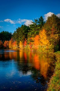 fotooboi priroda (169)