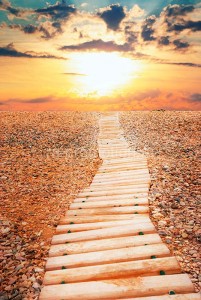 fotooboi priroda (17)