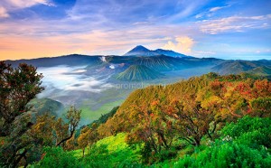 fotooboi priroda (172)