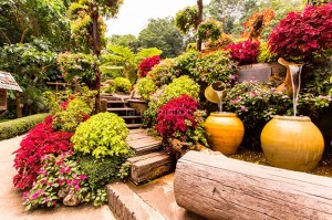 fotooboi priroda (173)