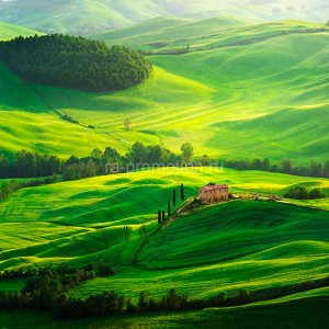 fotooboi priroda (175)