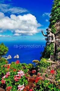 fotooboi priroda (178)