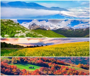 fotooboi priroda (179)