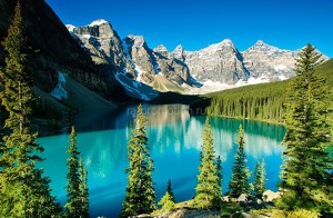 fotooboi priroda (186)