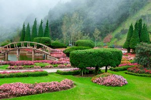 fotooboi priroda (196)