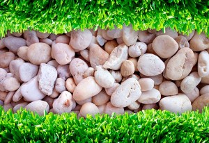 fotooboi priroda (216)