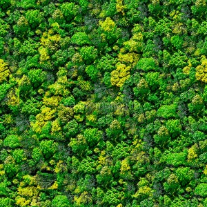 fotooboi priroda (23)