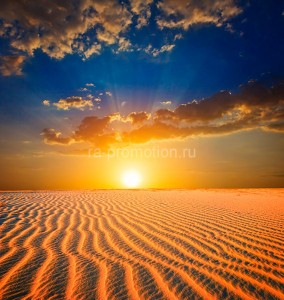 fotooboi priroda (29)