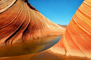 fotooboi priroda (33)