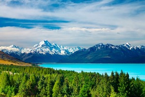 fotooboi priroda (35)