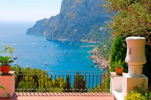 fotooboi priroda (37)