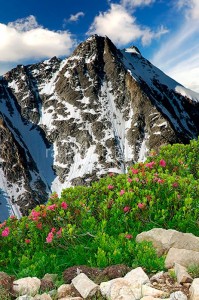 fotooboi priroda (38)