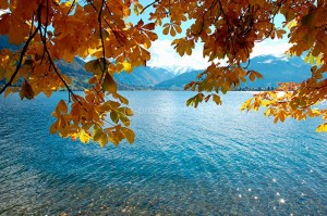 fotooboi priroda (40)