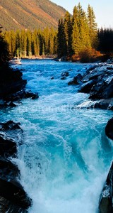 fotooboi priroda (41)