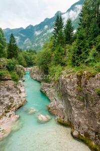 fotooboi priroda (44)