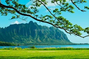 fotooboi priroda (51)