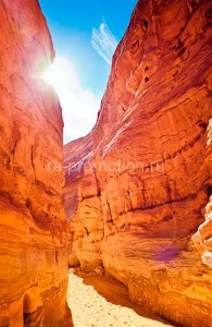 fotooboi priroda (55)