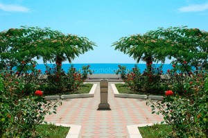 fotooboi priroda (8)