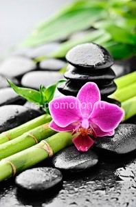 fotooboi raznoe (42)