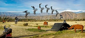 fotooboi raznoe (45)