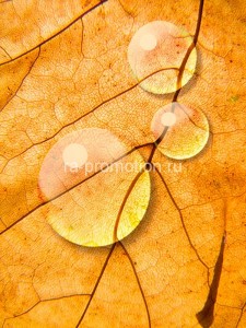 fotooboi raznoe (60)