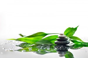 fotooboi raznoe (82)