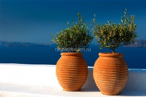 fotooboi raznoe (84)