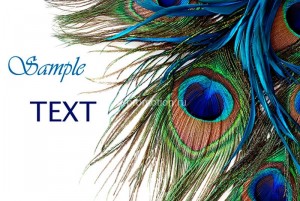 fotoobi texture (11)